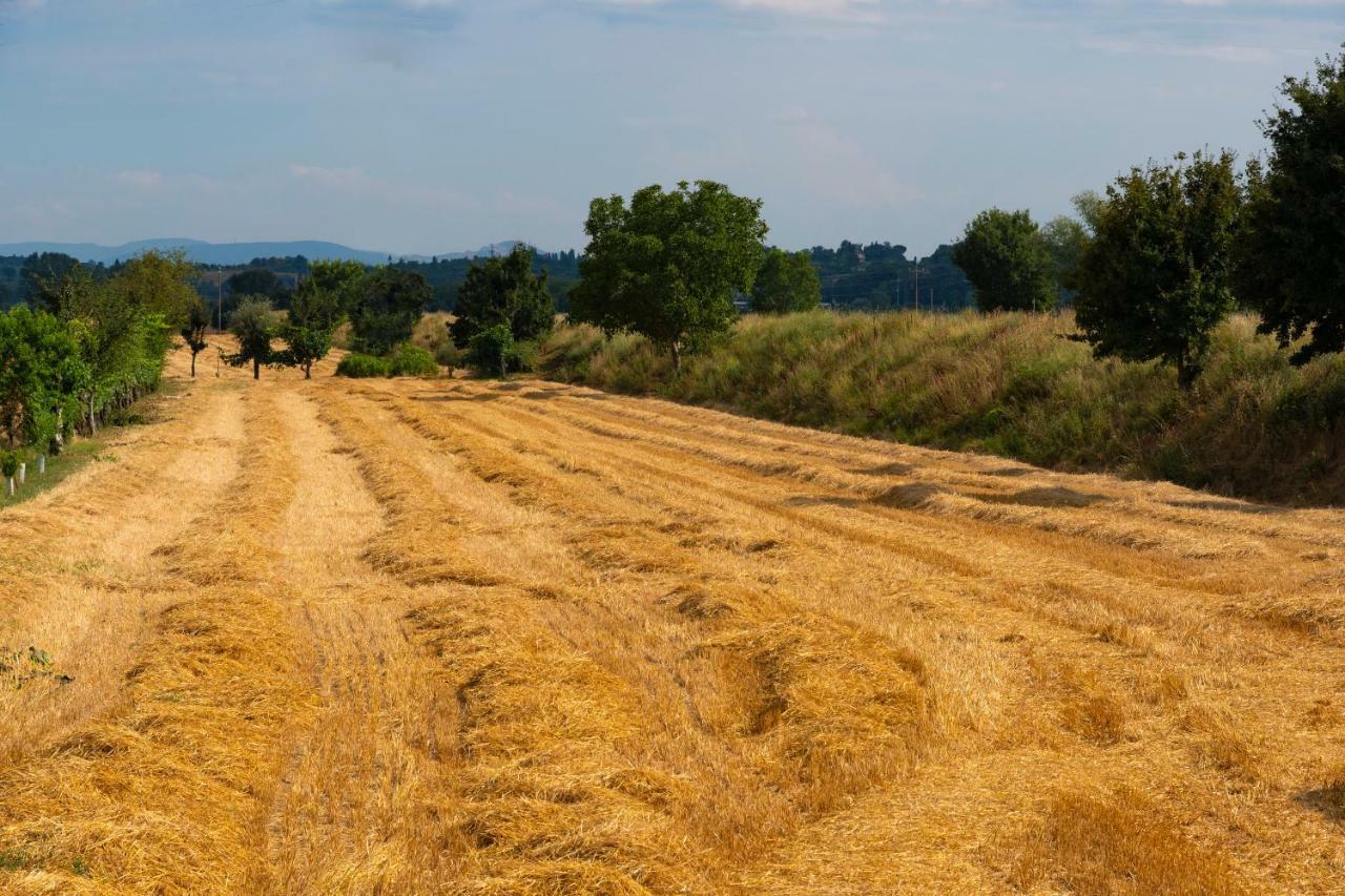 Locazione Turistica Casa Vento Della Toscana Фояно-делла-Кьяна Экстерьер фото